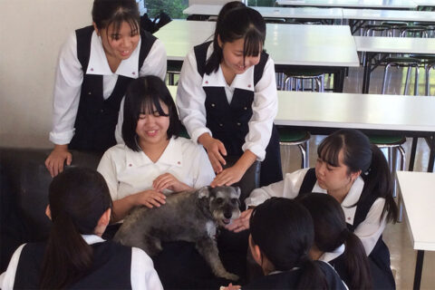 ココがスゴイ 寒河江高等学校