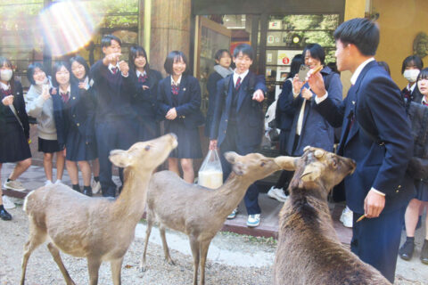 ココがスゴイ 酒田西高等学校